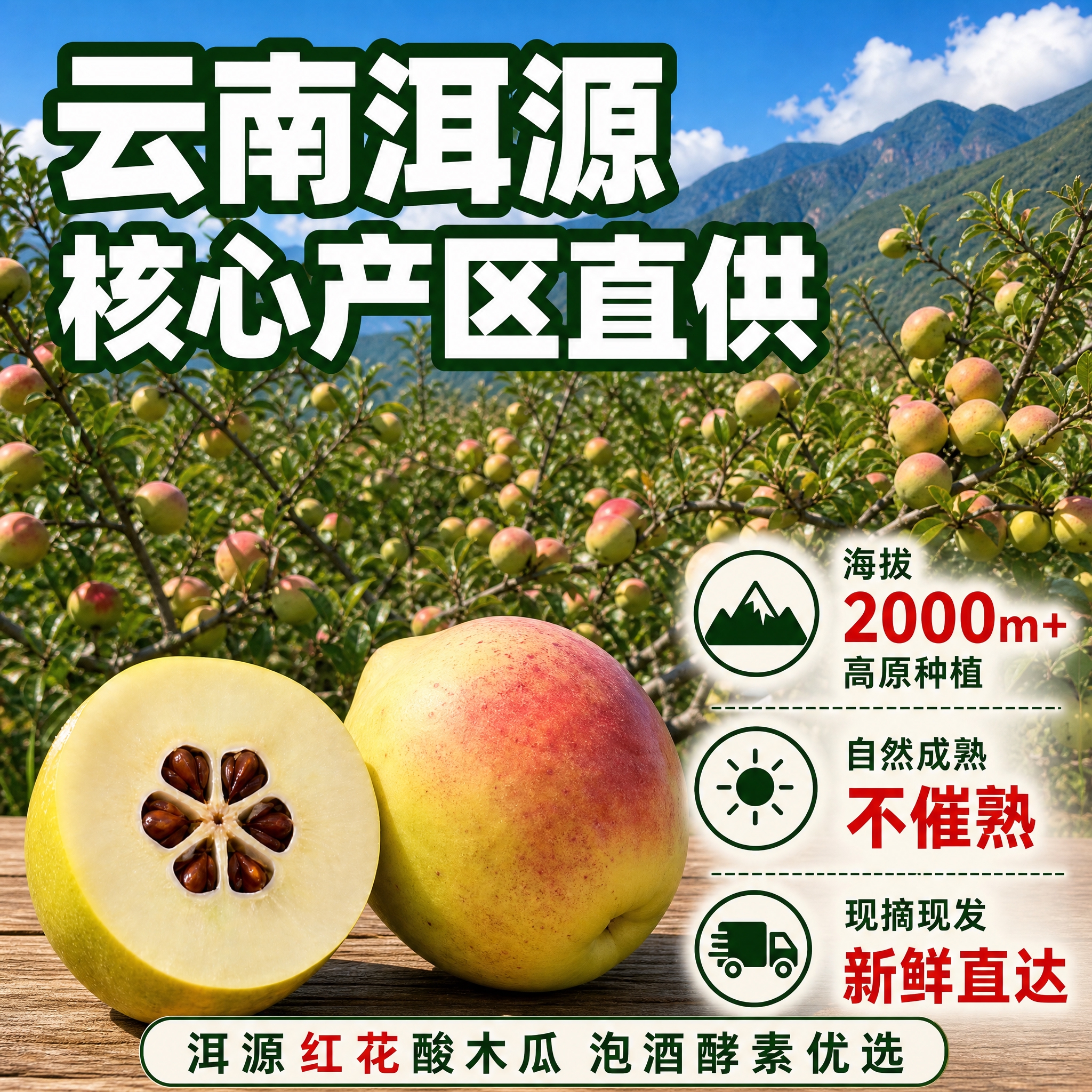 [主图-2 800x800 综合优化] 云南洱源红花酸木瓜产地… - 图片创意预览