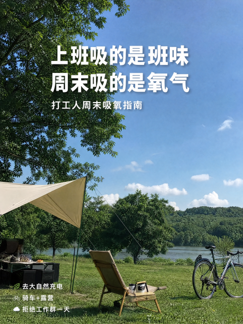小红书封面，真实摄影风格，UGC用户视角，iPhone实拍质感，小红书高赞封面风格，非电商海报，非广告风格，非企业宣传图，竖版3:4。场景：周末清晨户外自然环境，大片草坪、树林、湖边绿道，阳光穿过树叶预览效果