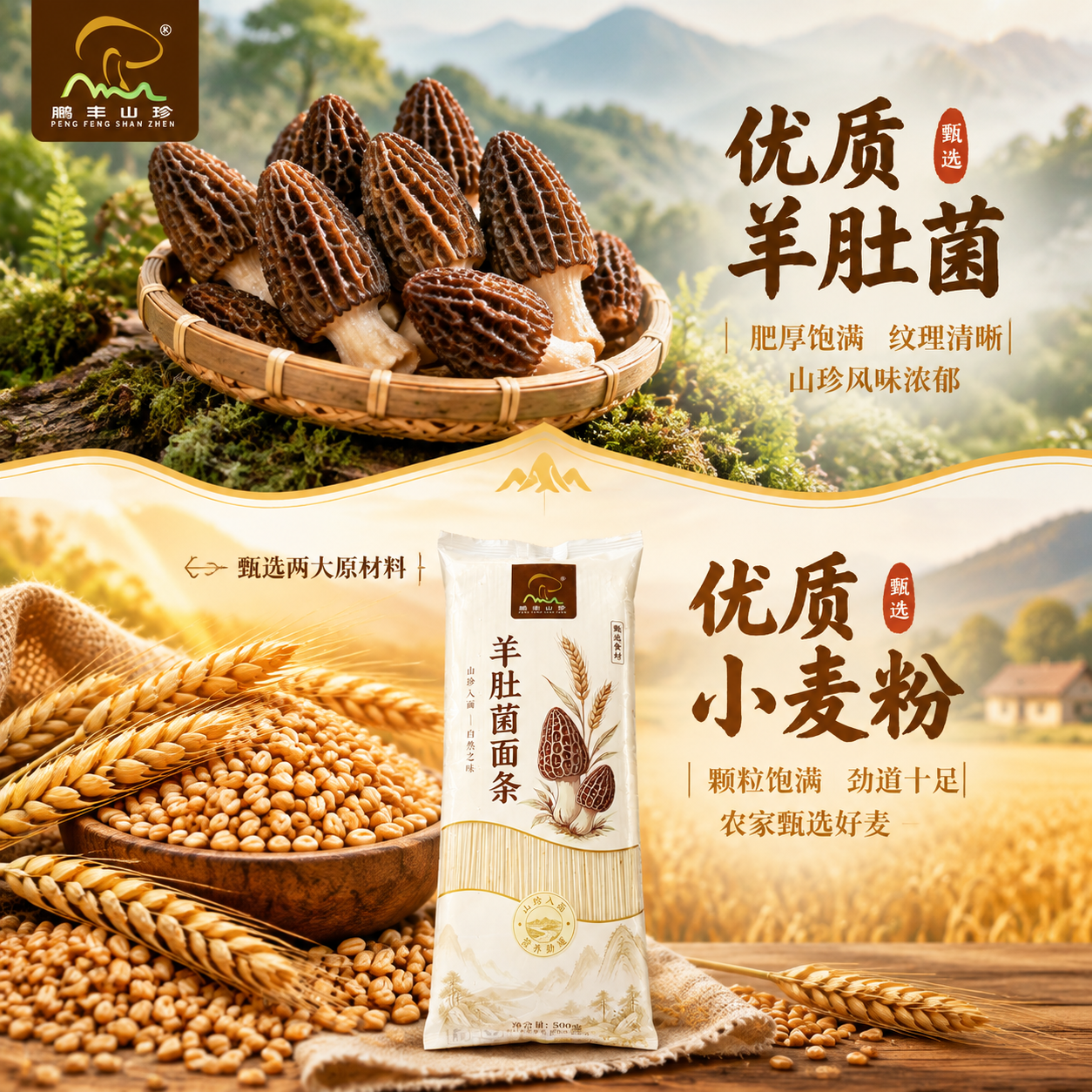 [主图-2] 原料溯源图，主题为甄选两大原材料优质羊肚菌+优质… - 图片创意预览