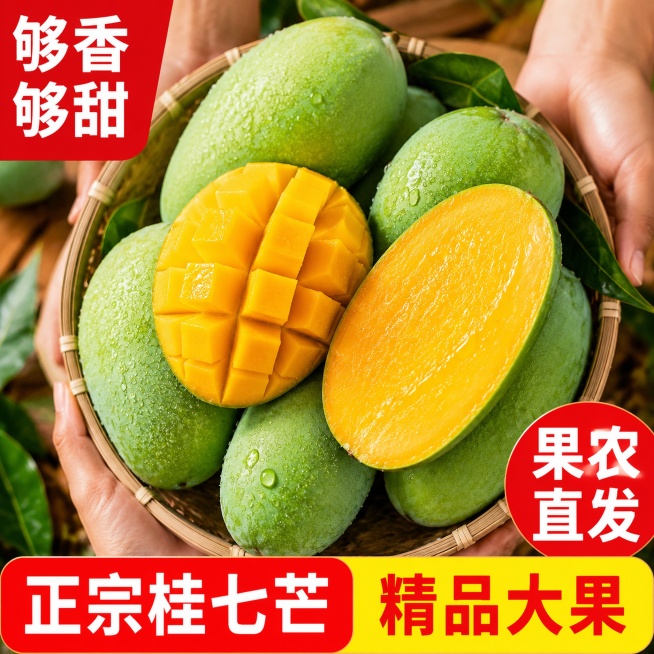 [主图] 正宗桂七芒精品大果电商主图，爆款风格，青绿色桂七芒果搭配切开的黄色饱满果肉，果皮带水珠新鲜水润，竹篮盛放双手托住芒果展示。采用红黄色块撞色设计，左上角红色块白色大字写够香够甜，右下角红色块白预览效果