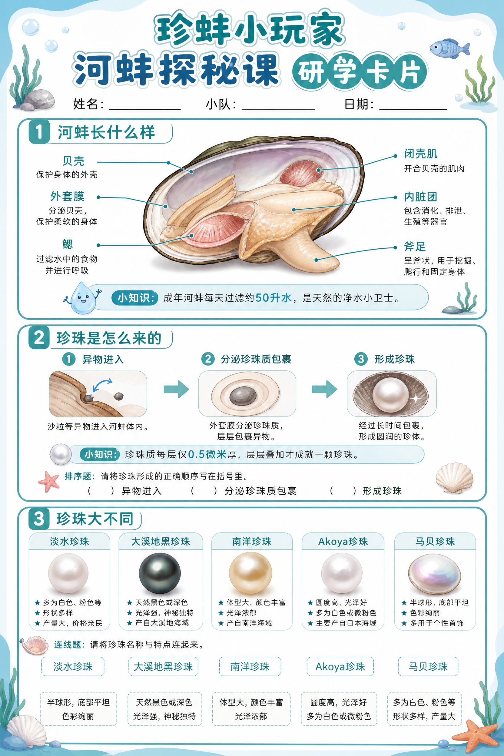 清新简约风格的研学任务卡第一页，A4竖版，蓝绿色系，简洁大方，… - 图片创意预览