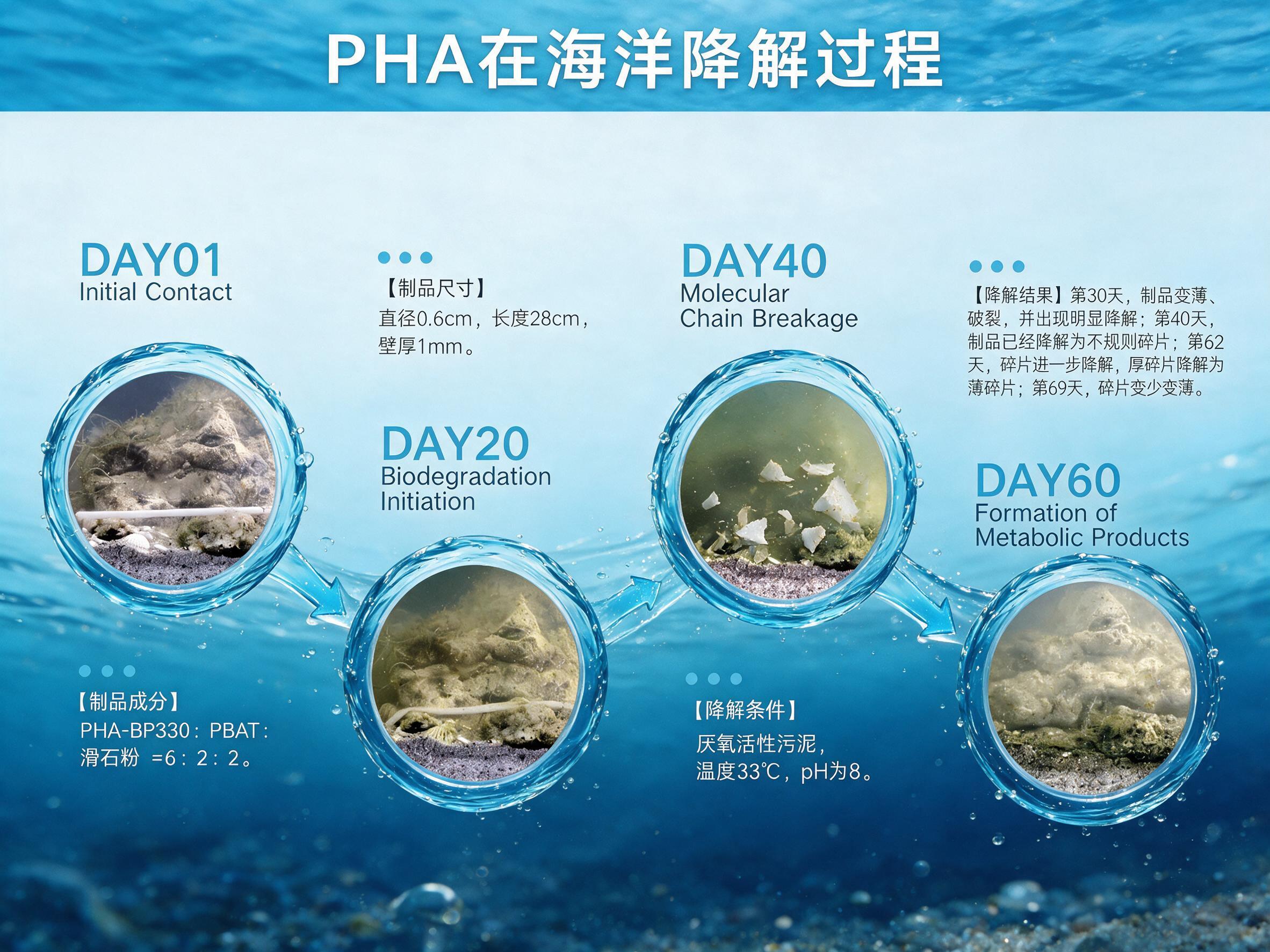 美化这张PHA降解过程图，标题改为'PHA在海洋降解过程'。整… - 图片创意预览