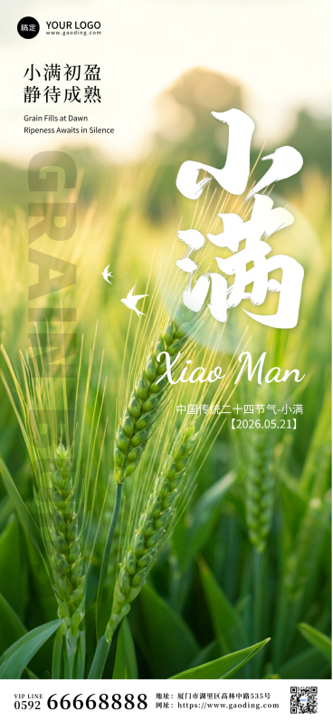 小满节气实景全屏竖版海报预览效果