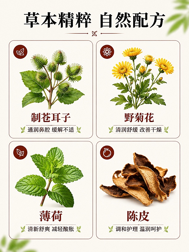 [第3屏] 草本配方解析-核心原料成分展示。本屏使用产品包装盒信息。
[氛围/风格] 自然健康风格，清晰展示原料价值。
[元素布局] 顶部主标题区域，下方2×2四宫格布局展示四种核心草本原料，每格放对应草本植物插图，配原料名称和功效说明。保持风格统一，每格留足留白不拥挤。
[光影质感] 每格光照均匀自然，插图清晰，文字清晰，整体通透不发灰。
[配色色系] 全局底色 #f0ede5，主色红棕色，辅助色草本绿色，自然清新配色，符合草本产品定位。
[视角构图] 四宫格平铺构图，整齐有序，信息清晰不重叠。
[文字版式] 顶部主标题「草本精粹 自然配方」黑色粗体，四格分别为：制苍耳子「通润鼻腔 缓解不适」、野菊花「清润舒缓 改善干燥」、薄荷「清新舒爽 减轻酸胀」、陈皮「调和护理 温润呵护」，每个标题加粗，说明浅色小字，排版清晰。
[比例分辨率] 3:4 竖版比例，4K分辨率，文字清晰可辨，高清画质。
[负向提示词] 变形，水印，文字错乱，文字过小，缺件错件，结构错误，颜色偏差，包装文字错乱，产品图模糊，背景杂乱
