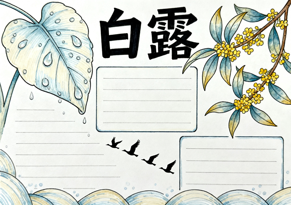 二十四节气之白露主题横版A4手抄报，马克笔手绘风格，画面包含白露凝珠、桂花、鸿雁南飞元素，顶部“白露”大字标题，预留文字框，体现秋日清冷凝露氛围，尺寸A4横版预览效果