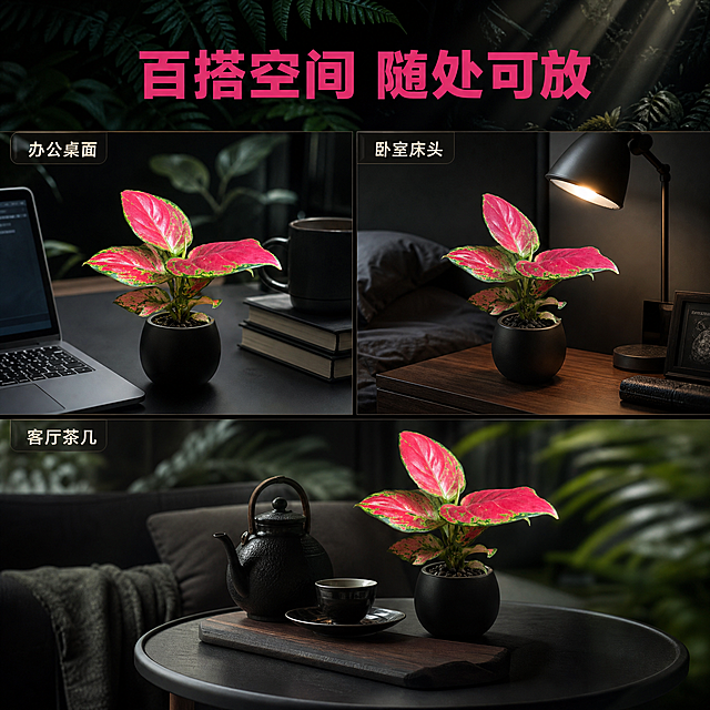 [主图-9] 多场景适配展示图，展示红宝石小苗适合摆放的不同空间。
[统一基调] 黑化雨林暗调风格，深墨绿色与黑色为主背景，点缀少量蕨类叶片与雨林植物剪影，整体低饱和暗调氛围，主标题用亮玫红色粗体字，辅助文字用米白色细体字，强调色为叶片的艳红色，字体为现代无衬线体，字号层级分明，画面有薄雾与丁达尔光效增加氛围感。
[画面] 画面采用三宫格布局，每个格子展示一个摆放场景：左上格是办公桌场景，小苗放在电脑旁；右上格是卧室床头柜场景，小苗放在台灯旁；下方大格是客厅茶几场景，小苗与茶具搭配。每个场景都是暗黑风格家居，红宝石小苗在每个场景中都是视觉亮点。三格之间有细黑色分隔线。
[光影质感] 多场景商业摄影质感，每个场景都有自然柔和的光线，植物融入场景真实自然，整体色调统一为暗调高级风格。
[配色] 整体深灰、黑色、木色暗调，每个场景中的红宝石叶片艳红色为亮点，标题亮玫红色，场景标注文字米白色。
[文字版式] 画面顶部居中主标题"百搭空间 随处可放"，亮玫红色粗体大字；每个场景角落有小型文字标签，分别标注"办公桌面""卧室床头""客厅茶几"，米白色细体，带半透明深色底框。
[输出要求] 1:1正方形，2048px，多场景布局清晰，每个场景自然真实，文字清晰，无变形，无水印，无平台logo。禁止场景拼接生硬、产品比例失调、色调不统一。