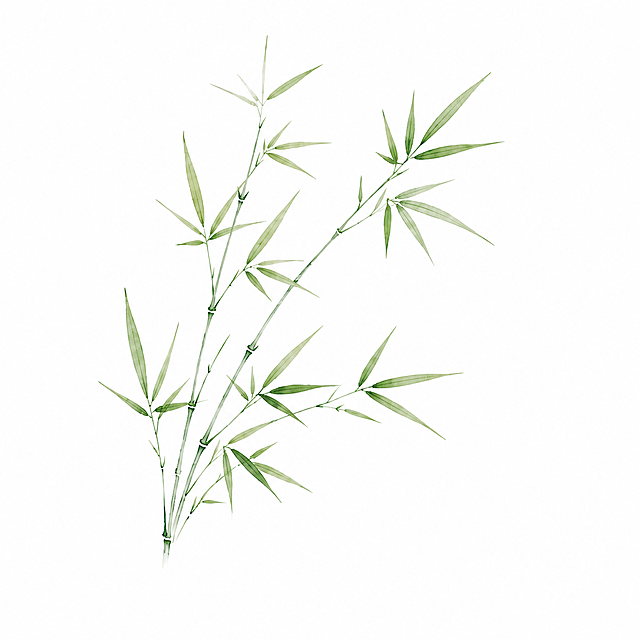产品精修，将图案背景改为纯白色背景，只保留一个竹枝图案，其他元素全部移除，保持原有竹枝图案的颜色和形状不变，产品置于纯白背景上，专业商业棚拍光，5500K标准中性白光，轮廓光，体积光，曝光正确，强烈真实立体感，完全无阴影，无接触阴影，无投射影，无地面阴影，无闭塞阴影，无倒影，图案像干净抠图贴在纯色背景上，主体居中，图案完整入画不裁切，四边均匀留白约10%-20%，极致超清画质，细节清晰锐利，4K分辨率，商业级实拍质感，保留原图真实材质与结构细节，锁定原图竹枝水墨色彩，颜色以输入图为唯一参考，分段部件颜色边界按原图锁定，锁定原图材质表现，保持原有质感、光泽、纹理和色相关系，严格保持原图透视，严禁扶正，严禁镜像翻转，比例1:1