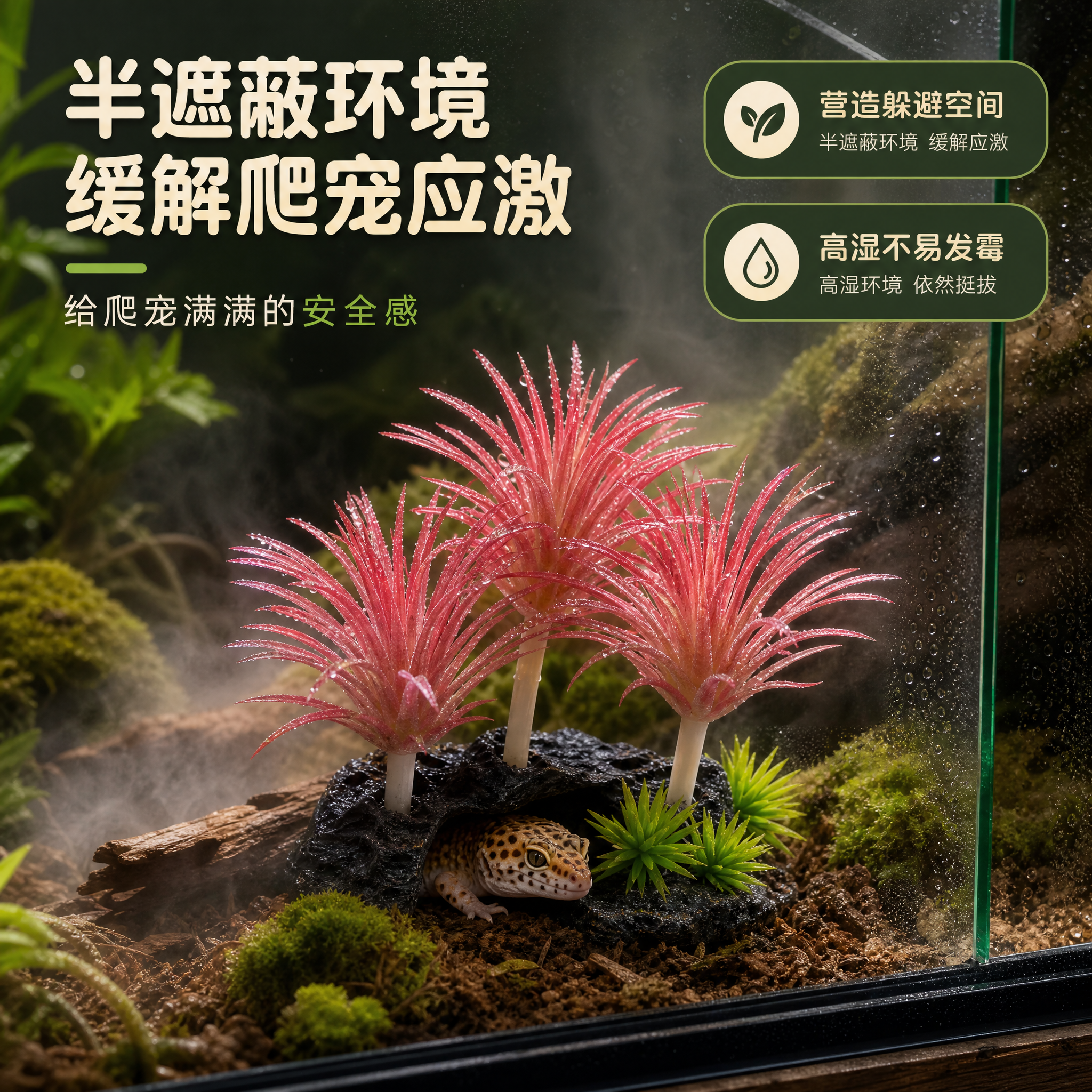 [主图-4] 主题：半遮蔽环境 缓解爬宠应激 高湿环境不易发霉… - 图片创意预览