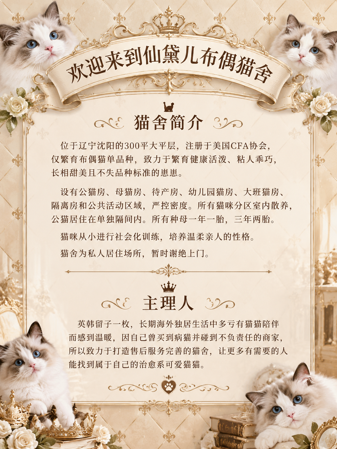 欧式复古轻奢风格猫舍介绍图，竖版3:4比例。米金色菱格纹理背景… - 图片创意预览