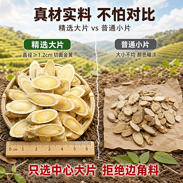 [主图-2] 黄芪片产地溯源与品质对比图 全新构图。
[氛围风格] 自然产地风，质朴可信，突出源头品质优势；
[画质] 商业摄影质感、光线柔和通透、产品清晰真实、画面干净高级。
[元素] 画面采用左右对比构图。左侧：精选黄芪大片堆放在圆形竹筛中，切面朝上金黄饱满，旁边标注“我们的黄芪”，下方放一把木尺显示大片尺寸。右侧：普通黄芪小片颜色暗淡大小不一，堆放在粗糙纸上，标注“普通黄芪”，尺寸明显小于左侧。背景为模糊的黄芪种植山坡景象，层层梯田绿黄相间，远处有蓝天白云。画面下方散落几片新鲜黄芪叶和泥土，增强产地真实感。**保持左侧精选黄芪片外观（即物理结构、材质质感、颜色、切片形状）与输入产品图一致，杜绝任何变形和色差，精细化处理**。商品主体占比约60%。
[光影] 自然户外柔光，上午阳光从左上方照射，左侧精选黄芪片有温润高光，切面透亮，右侧普通黄芪光线略暗形成对比，整体暖调自然。
[配色] 主色土黄米棕；辅色田野绿、竹编黄；强调色绿色（优质标识）和灰色（对比侧）。
[视角构图] 微俯视角度，左右对称对比布局，中间有自然分隔，上方产地场景做景深虚化，引导视线聚焦产品对比。
[文字版式] 顶部居中大字号粗黑体“真材实料 不怕对比”，深棕色字；下方小字“精选大片 vs 普通小片”。左侧上方绿色圆角标签“精选大片”白字，下方标注“直径≥1.2cm 切面金黄”。右侧上方灰色圆角标签“普通小片”白字，下方标注“大小不均 颜色暗淡”。底部一行大字“只选中心大片 拒绝边角料”，红色粗体居中。
[输出要求] 1:1比例，文字清晰可辨，超高清商业摄影质感。
[负向提示词] 变形，文字错乱，产品图模糊，背景杂乱，水印，电商平台Logo，多余的手，畸形手。