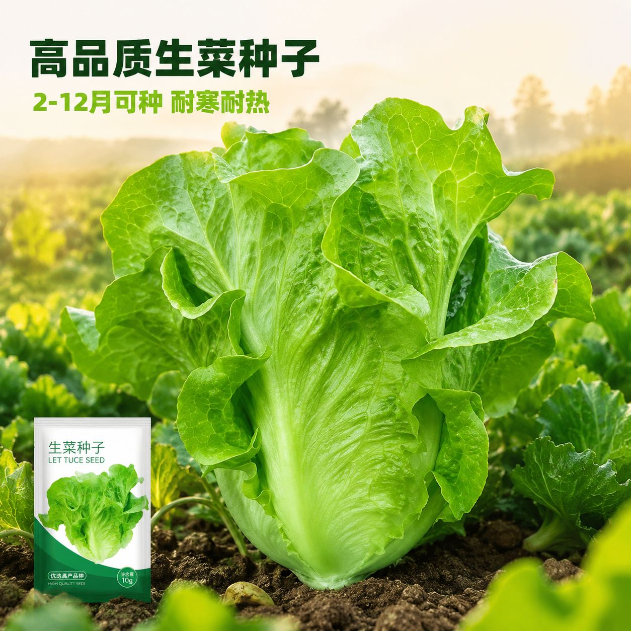 使用电商主图技能生成5张比例1:1的电商主图，适配平台为抖音，… - 图片创意预览