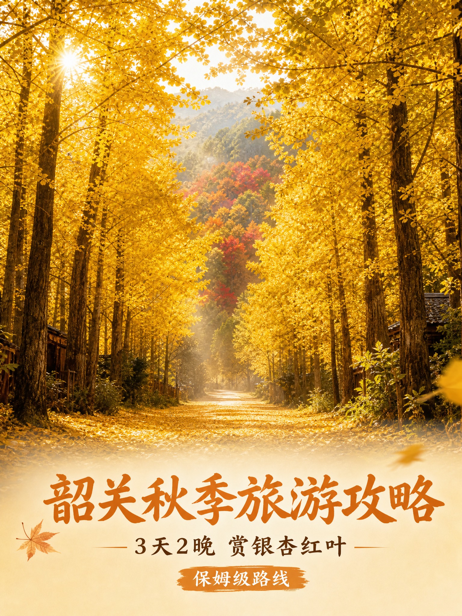 竖版秋季旅行攻略封面，画面主体为广东韶关南雄帽子峰林场的金色银… - 图片创意预览