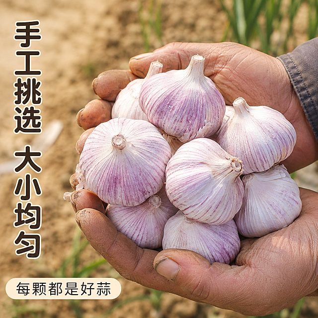 「图片1」，生成一套详情页，商品名称为紫皮干蒜，适配拼多多平台，单图比例为1:1，需求屏数为8张。