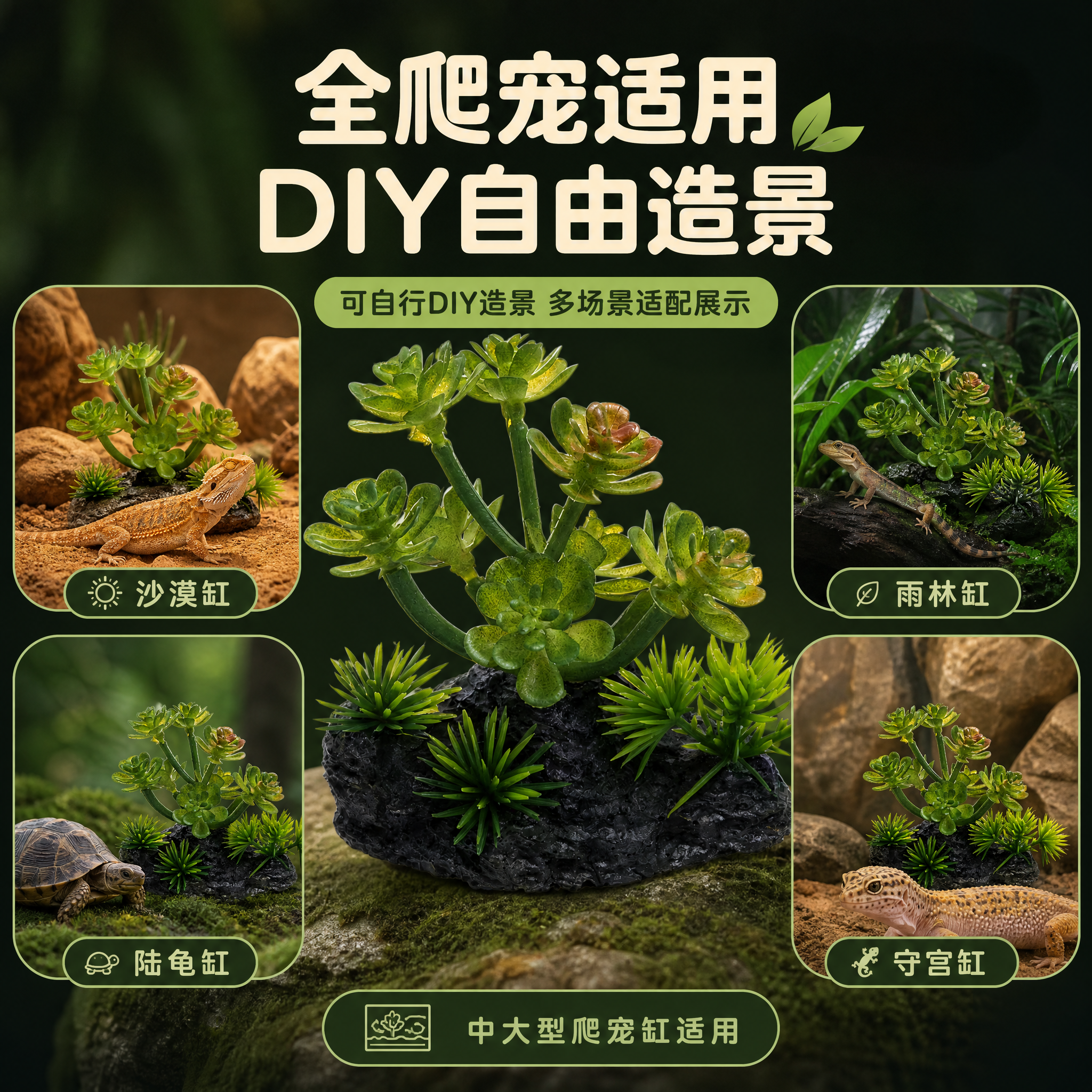 [主图-6] 主题：所有爬宠都适用 可自行DIY造景 多场景适… - 图片创意预览