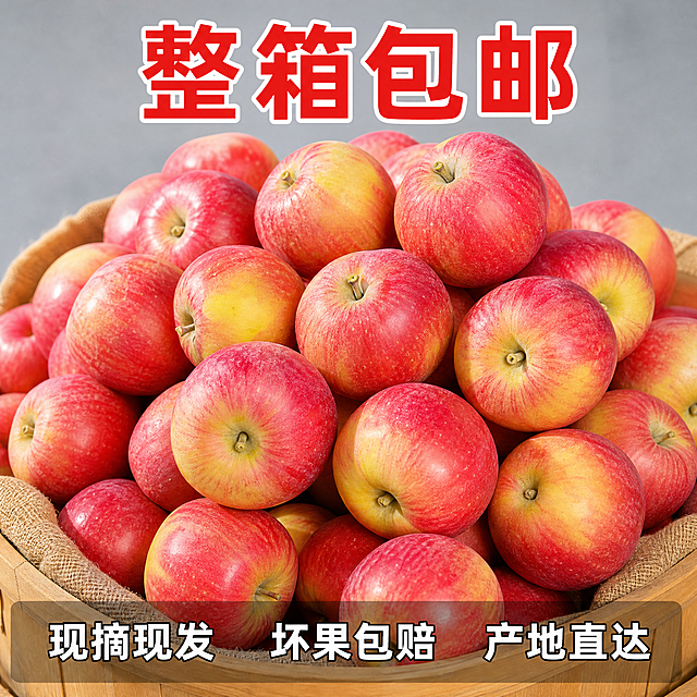 [主图-5] SKU与服务：展示整筐新鲜苹果 加服务承诺
[氛围风格] 丰收饱满质感 促进转化下单
[画质] 商业生鲜摄影 清晰饱满 真实自然
[元素] 一堆刚采摘的红苹果装满果筐 苹果大小均匀 色泽红润 展示整箱到货新鲜状态 保持苹果外观物理结构 材质质感 颜色与输入产品图绝对一致 杜绝任何变形和色差 精细化处理 苹果堆占画面70% 果筐只露出边缘部分
[光影] 自然散射光 均匀打亮整堆苹果 每个苹果都清晰可见 整体光线通透不暗沉
[配色] 红粉色苹果为主 果筐原木色搭配 背景浅灰色干净突出主体
[视角构图] 中心堆头构图 饱满充实 凸显大果品质
[文字版式] 画面底部设置半透明悬浮条 两端留空 横向排列三行服务承诺：「现摘现发」「坏果包赔」「产地直达」 白字深色描边均匀分布 清晰可读 顶部居中写"整箱包邮" 红色大字突出优惠信息
[输出要求] 1:1 比例 文字清晰锐利 超高清商业生鲜摄影质感
[负向提示词] 变形 文字错乱 产品图模糊 背景杂乱 水印 电商平台Logo 变色 腐烂 坏果