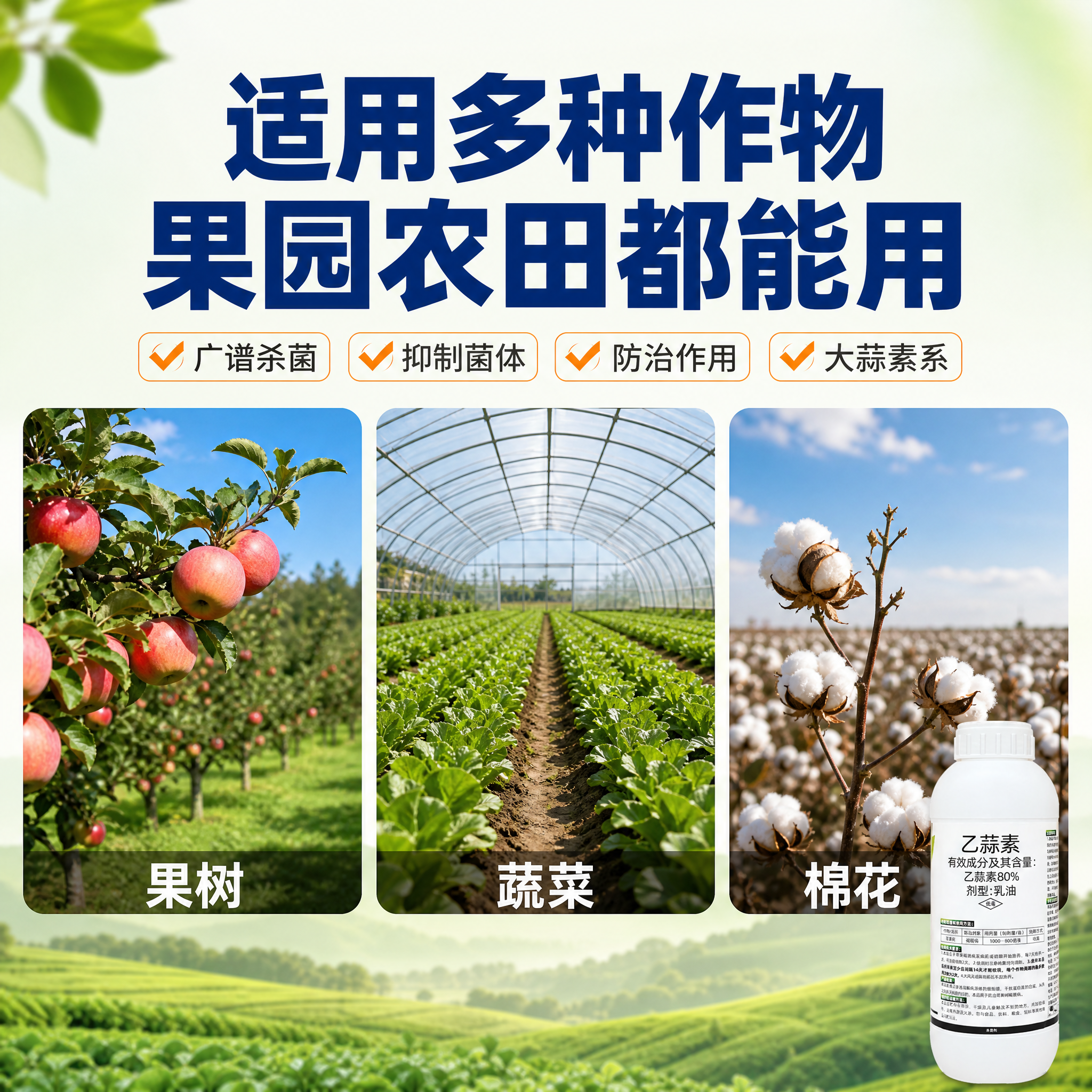 [主图-4] 使用场景与适用作物图，展示乙蒜素在果园、农田等真… - 图片创意预览