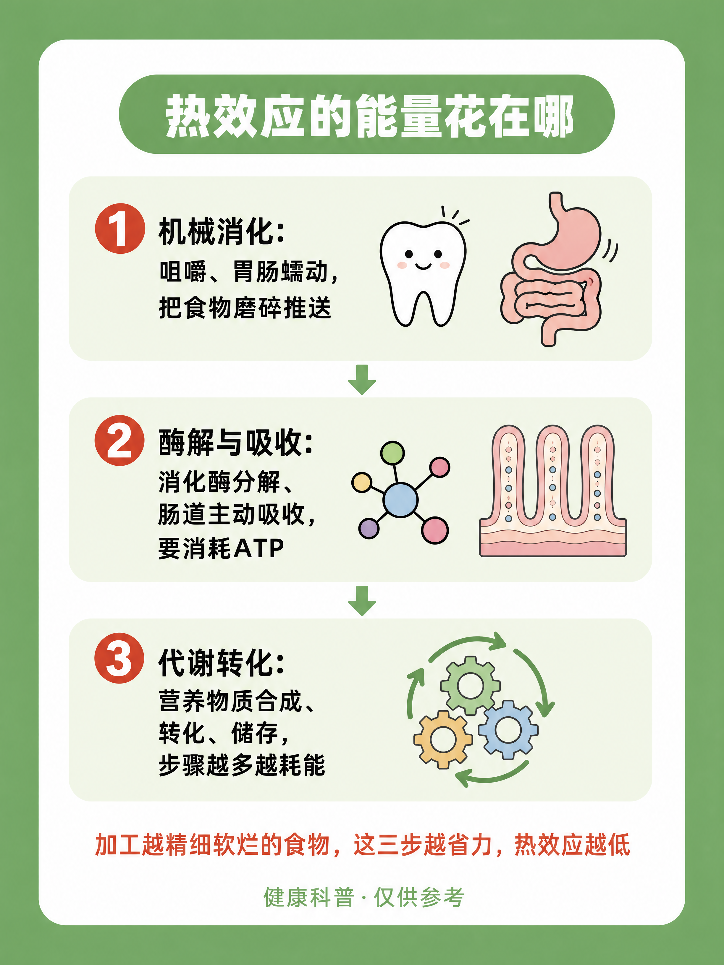 小红书健康科普内页图，3:4竖版，整页中绿色#6BA35E平涂… - 图片创意预览