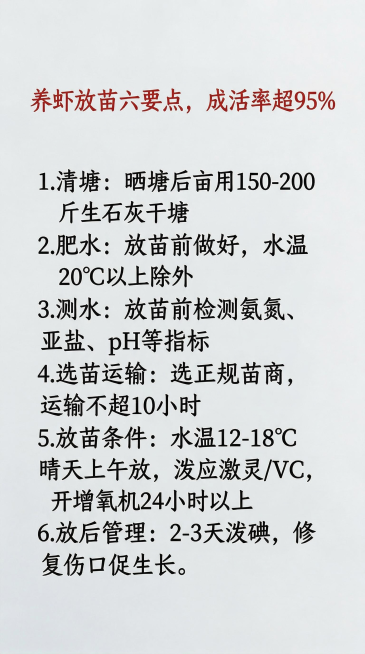 将图片文字替换为："养虾放苗六要点，成活率超95%"，红色字体，以下内容字体和原图片一致，排版合理：1.清塘：晒塘后亩用150-200斤生石灰干塘
2.肥水：放苗前做好，水温20℃以上除外
3.测水：预览效果