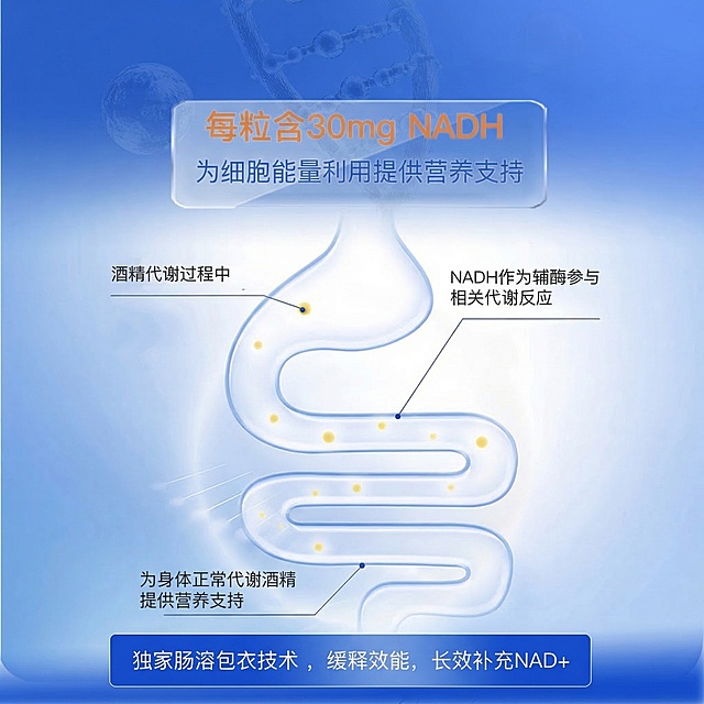 保持原图所有文字内容、肠胃示意图结构、蓝白科技背景不变，完整保留所有标注信息，生成尺寸为800*800的清晰图片，内容和构图完全一致