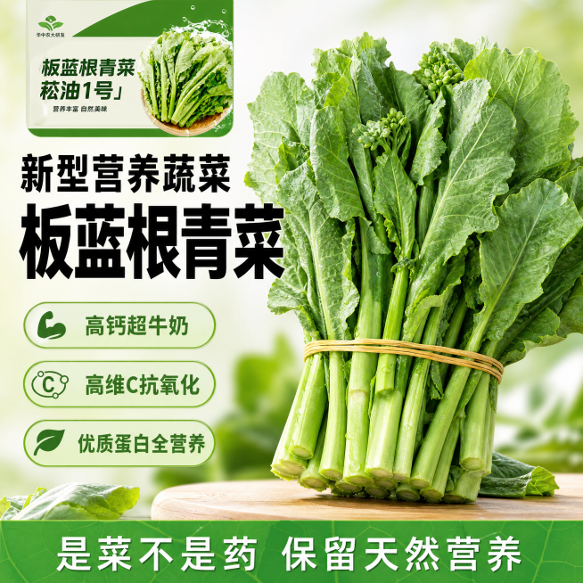 [单张主图] 板蓝根青菜 爆款促销感主图，抖音高点击电商主图，传递产品卖点吸引点击。
[参考比对] 用户参考图采用大标题+产品展示+卖点卡结构，配色为清新绿浅米黄，突出天然新鲜属性，生成时沿用此版式逻预览效果