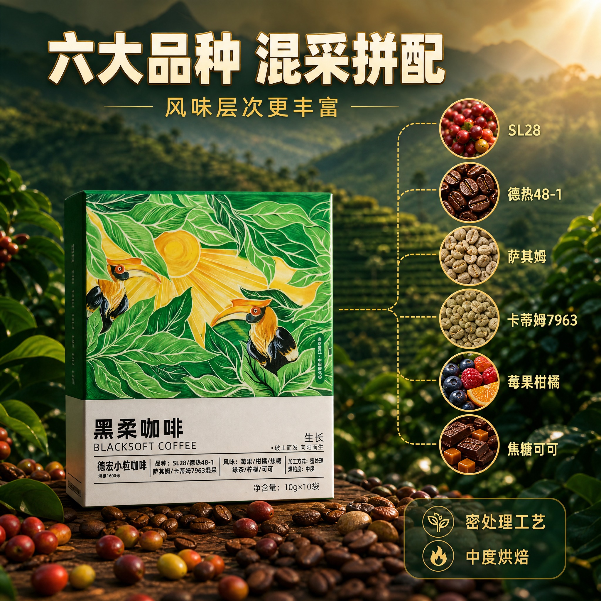 [主图-2] 核心亮点与产地溯源 六大品种混采 风味层次丰富。… - 图片创意预览