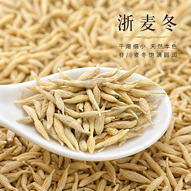基于上传的浙麦冬手持素材进行主图创作，严格使用上传素材中的麦冬产品，保持所有浙麦冬颗粒的外观、形状、颜色、纹理、干瘪细小的形态特征、淡黄色、表面褶皱纹理等所有细节严格保真，杜绝任何变形、色差与失真。背景麦冬堆的排列和整体构图保持不变。

将手掌替换为一只精致的哑光白色陶瓷小勺或浅口白色瓷碟，勺子/碟子从画面下方优雅地托着一堆浙麦冬，麦冬颗粒的数量、排列、干瘪细小的形态与原图手掌中的麦冬保持一致。白色陶瓷勺/碟质感细腻光滑，边缘圆润，干净高级，与麦冬的天然干瘪细小形成精致的对比衬托。

麦冬颗粒清晰展示其干瘪细小的天然形态，细长纺锤形，表面有纵皱纹，淡黄色，突出「干瘪细小，不像川麦冬饱满圆润」的特征。

背景麦冬堆铺满画面，形成饱满的产品特写，景深效果自然，中心清晰边缘柔和虚化。

文字排版：在画面右上角或顶部叠加精致的文字排版，主标题「浙麦冬」使用高级衬线体或细宋体，深棕色或深褐色，字号适中偏大，字间距宽松，精致优雅；主标题下方放置一条细细的金色装饰线；装饰线下方放置两行卖点小字，第一行「干瘪细小 天然本色」，第二行「非川麦冬饱满圆润」，细黑体或轻衬线体，深棕色，字号较小，行间距宽松，排版克制精简，高级感十足。

柔和的自然光从侧上方照射，光线均匀柔和，在麦冬颗粒和白色瓷勺表面形成细腻的高光与暗部层次，整体光影干净通透，质感高级。整体色调温暖雅致，偏暖棕黄色调，营造精致高级的氛围。

整体风格精致高级，温暖雅致，突出产品本身的质感与道地特征。

1:1 比例，2K超高清画质，细节丰富清晰。