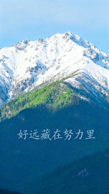 帮我生成20张清新自然风景与手写励志文字组合而成的图，画面包含蓝天碧海、绿草如茵、远山雪景、林间晨光等场景，每张图配以“好远藏在努力里”“勇气是自由的序章”“生活本真”“因为想跑，所以才要跑”“日子很预览效果
