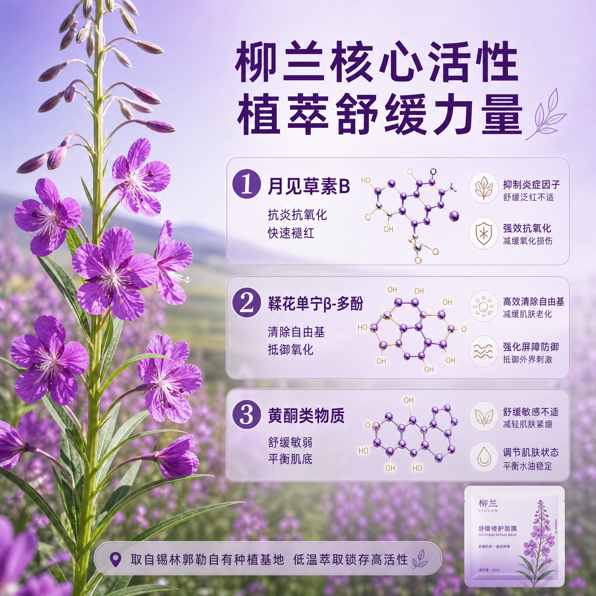 [主图-2] 核心功效成分解析，主题为柳兰核心活性植萃舒缓力量… - 图片创意预览