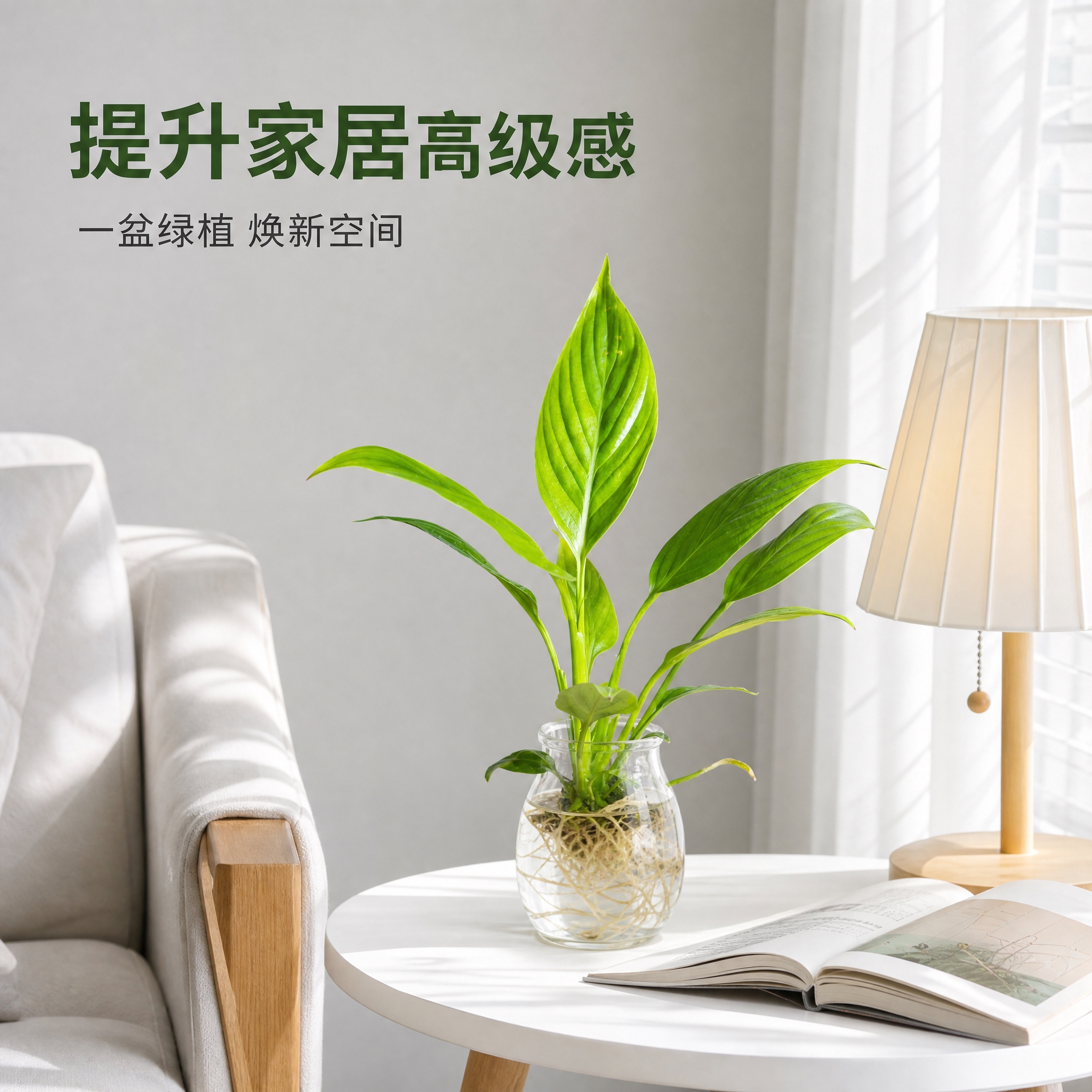 [主图-5] 美酒白掌室内摆放场景图，北欧风客厅环境，展示绿植… - 图片创意预览