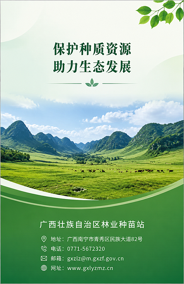 广西林草种质资源保护与利用三折页封底设计，绿色为主色调，底部标注广西壮族自治区林业种苗站联系方式，中间添加广西壮美草原风光图片，留白合理，简洁庄重符合官方宣传风格