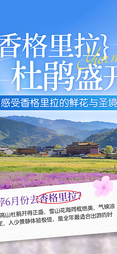 云南旅游6月赏花香格里拉初夏旅行赏花季拼贴风旅游公众号长图海报