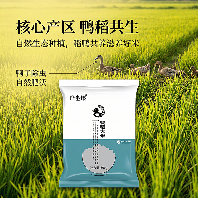 [垫图] https://gdesign-dam-hz.dancf.com/35918441395116088/b13cd88a89b84fd79fa89d4cb99fc92a.png
[主图主题] 鸭稻大米核心产地溯源主图
[氛围/风格] 自然原生态稻田风光，真实通透，信任感强
[画面元素] 袋装鸭稻大米放置在前景，背景是开阔的绿色鸭稻共生稻田，稻田里有自由活动的鸭子，真实还原生态种植环境，自然阳光洒在稻田上，光影层次自然，背景铺满全屏无边框
[配色色系] 主色调：翠绿色稻田；辅助色：大米包装的蓝白色，暖黄色阳光
[视角构图] 平视近景，产品在前景，稻田背景延伸景深，构图均衡
[文字版式] 左侧大字体标题“核心产区 鸭稻共生”，副标题“自然生态种植，稻鸭共养滋养好米”，用纤细引线标注稻田里的鸭子，文字说明“鸭子除虫 自然肥沃”，文字均悬浮在背景留白处，不遮挡产品主体
[比例分辨率] 2k 分辨率