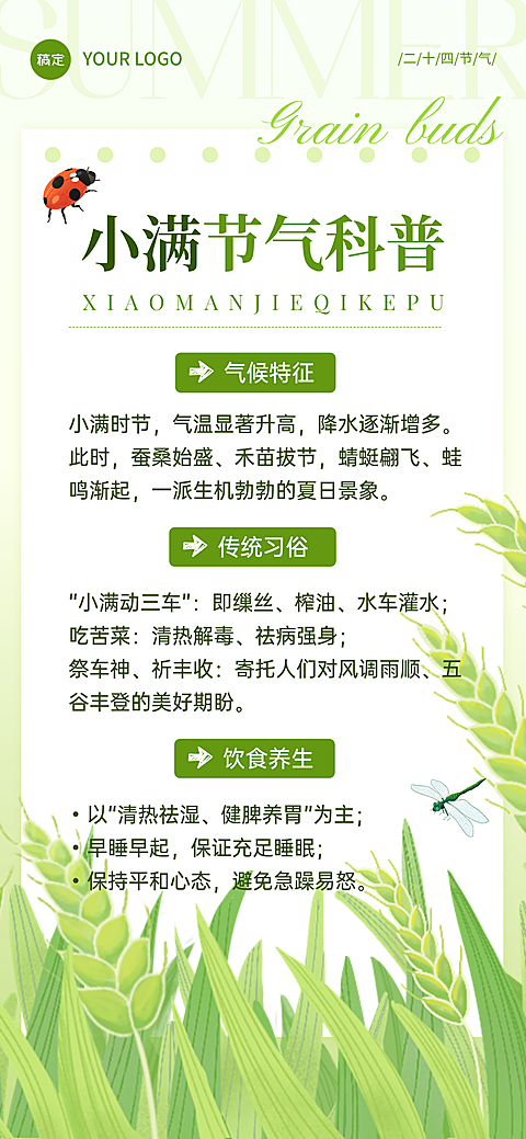 小满人文社科节气科普节气插画线上渠道全屏竖版海报
