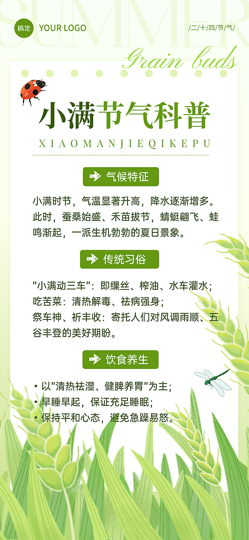 小满人文社科节气科普节气插画线上渠道全屏竖版海报