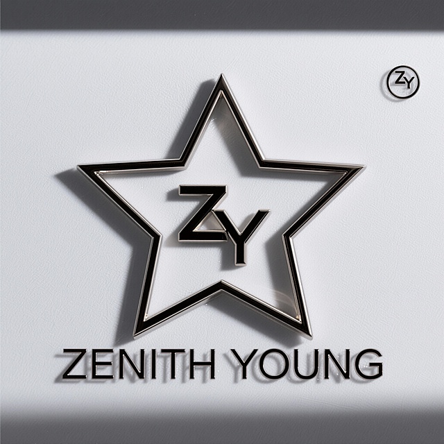 下面的英文“ZENITH YOUNG”要保留，‘ZY’右上角的字母‘R’及图形要去掉