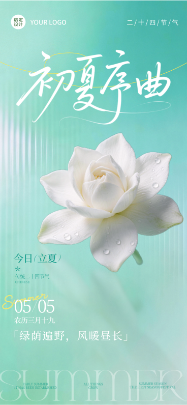 立夏节气海报清新薄荷绿白荷元素设计预览效果