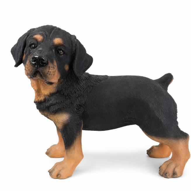 [主图1] 站立罗威纳犬摆件单品展示首图。
[氛围风格] 专业简洁跨境电商风格，客观展示产品
[画质] 商业摄影质感、光线均匀通透、产品清晰真实、画面干净高级
[元素] 站立罗威纳犬摆件主体居中，保持预览效果