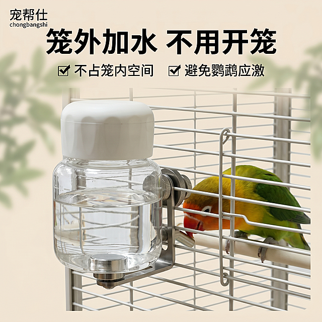 宠帮仕磁吸快拆鹦鹉饮水器笼外外置安装卖点图，1200×1200px正方形实景安装演示实拍图，全域底层浅米色底色，叠加低透明度虚化绿色树叶树影暗纹，整体朦胧氛围感虚化。饮水器完整安装在鸟笼外侧，放大呈现笼外瓶身与笼内撞针的结构关系，高硼硅玻璃瓶身通透可视水位，质感厚重；一只金头牡丹鹦鹉站在笼内，低头凑向撞针出水口做出准备饮水的互动动作，产品占据画面核心70%以上视觉区域。左上角固定极小品牌小字：宠帮仕 chongbangshi；画面顶部居中加粗黑色主标题：笼外加水 不用开笼；主标题下方两行极简短卖点：✅ 不占笼内空间 ✅ 避免鹦鹉应激。风格：商业产品静物实景摄影，均匀柔和无影棚拍柔光，无硬阴影、无过曝、无噪点颗粒，文字矢量清晰锐利，浅米底色 + 朦胧绿树影，通透玻璃水瓶为视觉核心，整体柔和干净，光影统一，场景化安装互动实拍，鹦鹉饮水互动增强场景代入，产品主体醒目，文案极简，直击核心痛点。反向提示词：笼网变形歪斜、水瓶向内安装、玻璃模糊发蒙、阴影厚重、文字过多杂乱、塑料瓶质感、树影过于浓烈清晰
