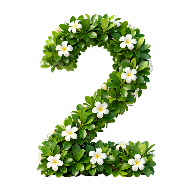 干净的纯白色背景。3D艺术字体设计，主体文字是数字“2”，由茂密的绿色树叶和白色鸡蛋花拼接组成形态，树叶饱满清新，花朵点缀在笔画中，整体自然清新，所有元素都在数字2轮廓内部，不溢出到背景。文字整体必须完整呈现在画面内不可被裁切，四周留有安全边距。比例1:1。