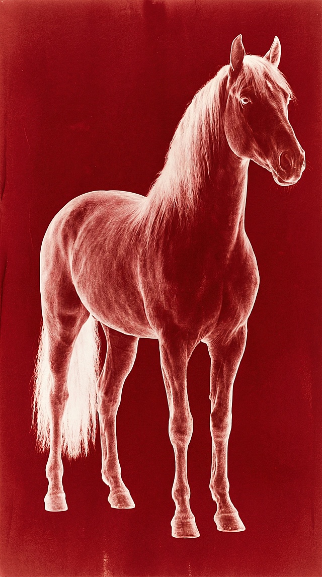 复古感单色剪影风，胶片质感呈现骏马轮廓，红调背景营造节日氛围。