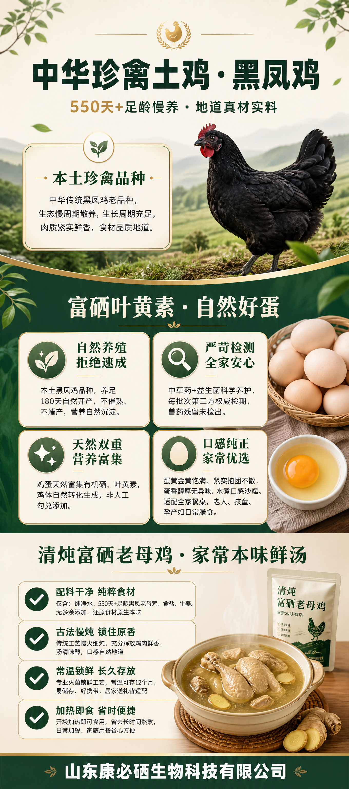 800×1800像素立式竖版展架设计，上中下三段均衡分布，上下… - 图片创意预览