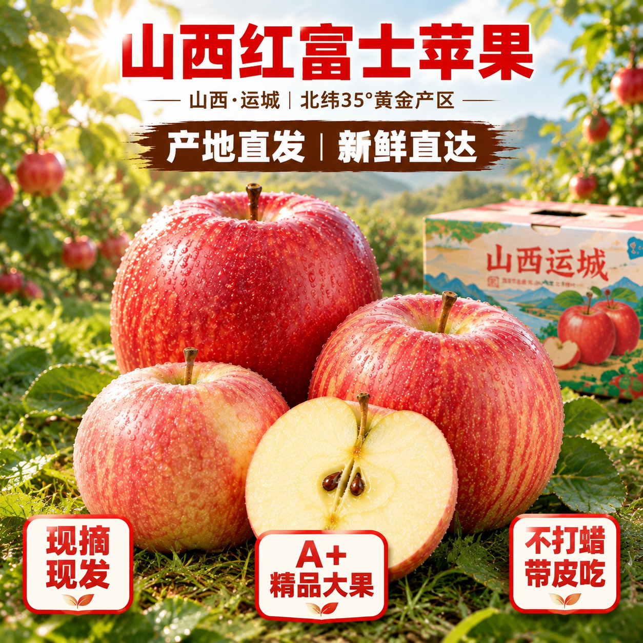 京东电商主图，800×800像素，背景为山西运城苹果果园草地实… - 图片创意预览