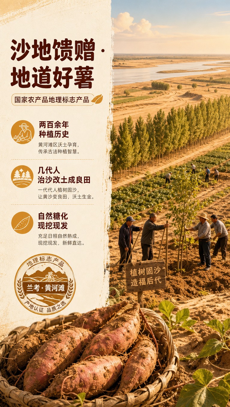 [商品] 本页为产地故事与品质背书页，以叙事场景为主；左下角使… - 图片创意预览