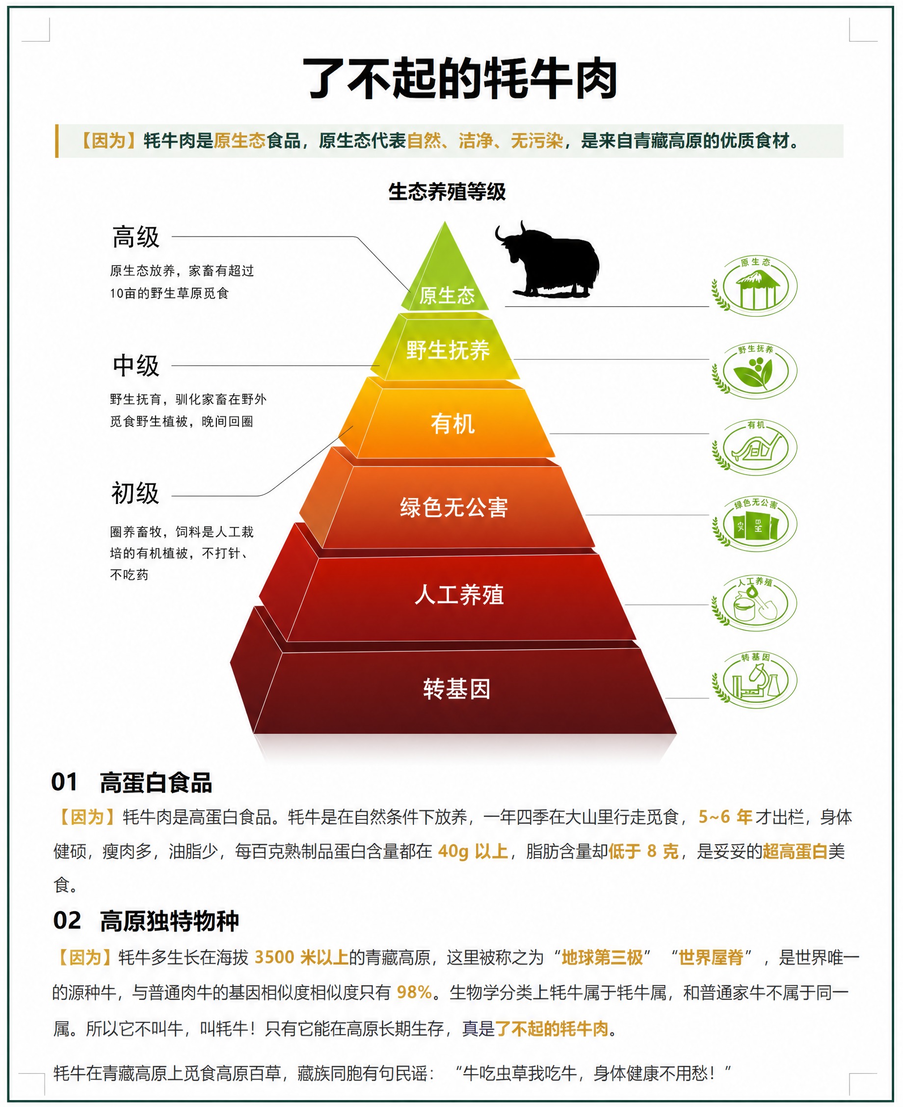 精确复刻参考图的版式、配色、文字内容和所有图形元素，一个字都不… - 图片创意预览