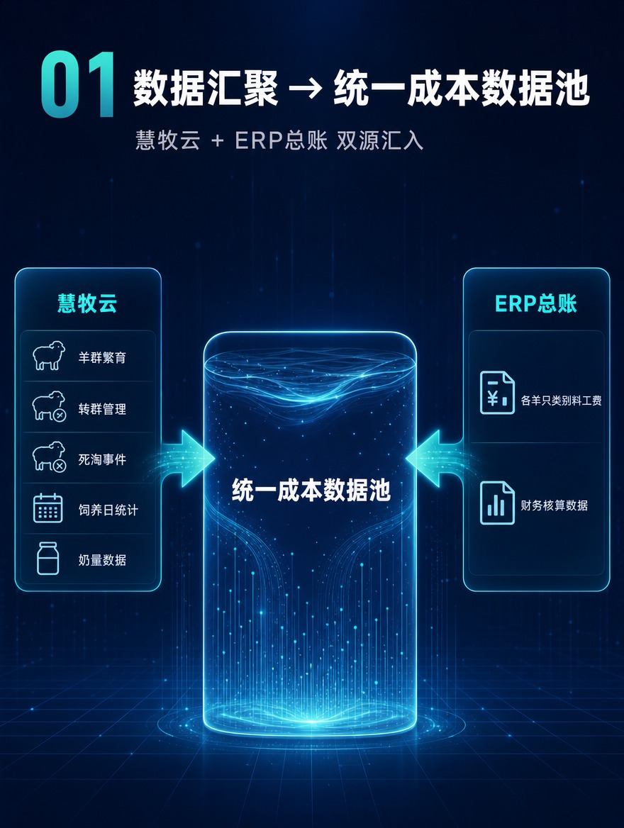 [商品] 无实物商品，为核心模块一：数据汇聚页面 [画面] 模… - 图片创意预览