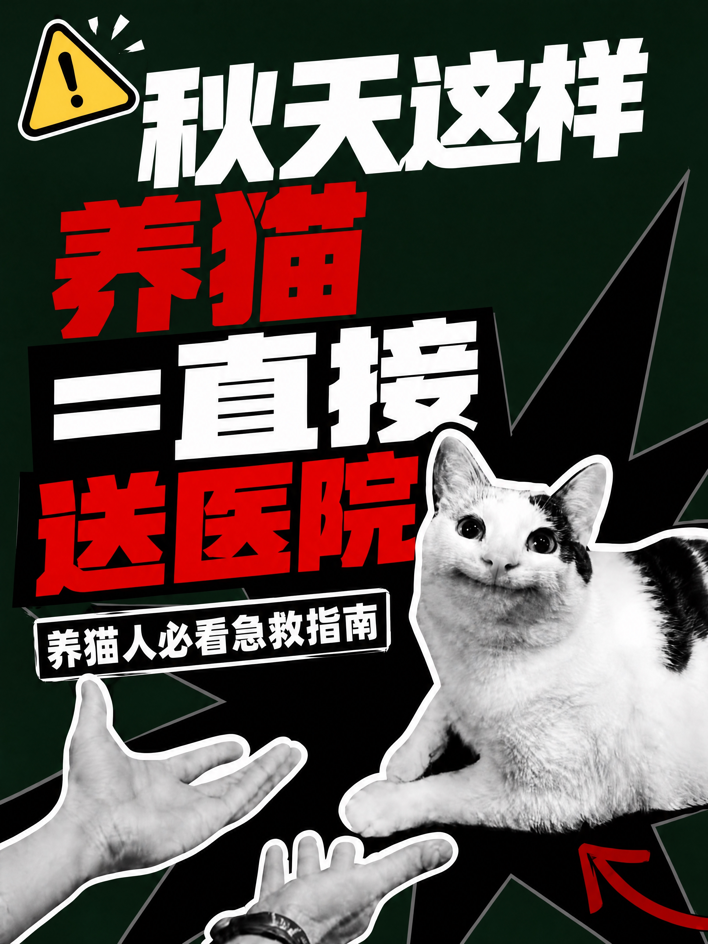 基于参考图修改文字颜色，其余版式、构图、元素全部保持不变。仅将… - 图片创意预览