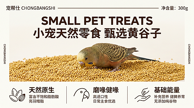 鹦鹉零食电商详情页首屏海报，高清商业平面设计，超清印刷级画质，文字边缘锐利清晰，多屏衔接色彩零色差、风格零偏差、视觉完全统一，版式结构 1:1 精准复刻原图所有细节。画面主体：画面左上角放置宠帮仕 chongbangshi中英文双标题，右上角标注文案"净含量：300g"，顶部搭配横向细装饰线条；画面左右两侧竖向排版竖排品牌小字"chongbangshi"；顶部居中位置，上层为超大号加粗英文主标题 "SMALL PET TREATS"，下层为超大号加粗中文主标题 "小宠天然零食 甄选黄谷子"，字体层级、间距、排版完全对标原图；画面中部主体大图区域，背景完整铺满产品图（黄谷子），高清写实小型鹦鹉居中放置，呈现鹦鹉低头啄食黄谷子的生动特写画面，构图饱满、光影自然；画面底部1:1 复刻参考图三栏横向均分图文版式，栏与栏之间用浅咖细竖线分隔，每一栏均为"左侧专属线性图标 + 右侧上下层级文字"的固定排版结构，图标、字体、字重、间距、配色完全对标参考图，结合黄谷子特性深度强化痛点与卖点，适配饲养需求：第一栏：左侧油料籽实线性图标 + 上方加粗标题"天然原生" + 下方小字"富含不饱和脂肪酸 亮羽增脂"，第二栏：左侧鹦鹉喙部线条图标 + 上方加粗标题"磨喙健喙" + 下方小字"高适口性 日常主食优选"，第三栏：左侧手托喂食线条图标 + 上方加粗标题"基础能量" + 下方小字"补充营养 健脾养胃 无添加纯谷物"。整体版式为上下文字 + 中间主体的经典电商海报构图，文字层级清晰分明，排版疏密有致，商业印刷级质感，无多余装饰元素，简约大气，完美适配鹦鹉零食电商详情页印刷使用。背景要素：全图统一浅米白色细腻哑光肌理背景，低饱和度纯净底色，无多余杂乱纹理，干净素雅高级。色彩色调：以柔和奶米白为主底色，所有文字、装饰线条统一深咖啡色，搭配鹦鹉原生自然羽色、黄谷子原生浅金黄谷物自然色调，整体为低饱和暖调轻奢配色，均匀柔和漫射柔光，无生硬硬阴影，色调温润干净恒定无偏移。画面风格：简约高级宠物食品电商详情页视觉风格，写实宠物摄影 + 精致规整平面排版结合，版面留白舒适，信息层级分明，文字排版工整精致，整体商业质感强，所有元素位置、间距、版式布局完全复刻原图。负面提示：金刚鹦鹉、色彩偏色、文字模糊、产品变形、高饱和色彩、噪点水印、卡通风格、杂乱背景、硬阴影、鹦鹉非居中、非黄谷子原料、元素偏移、底部非图标图文排版、图标样式偏差、栏间分割线缺失
