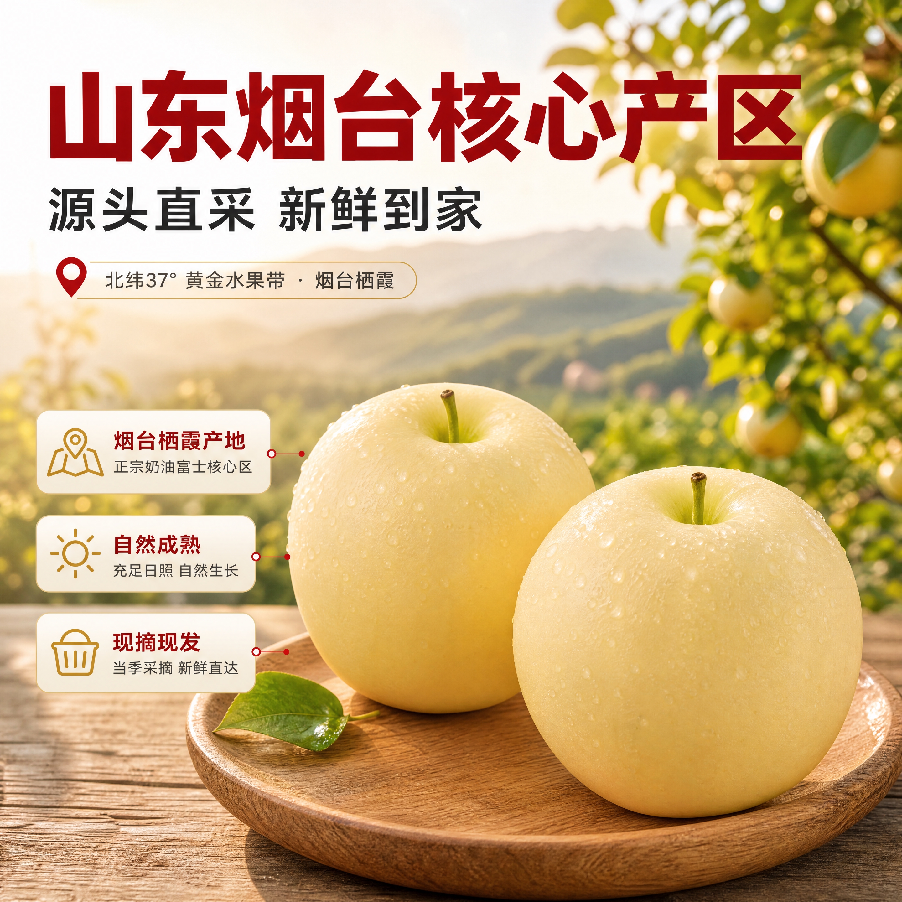 [商品] 使用【图3】【图5】中的烟台奶油富士苹果；保留苹果奶… - 图片创意预览