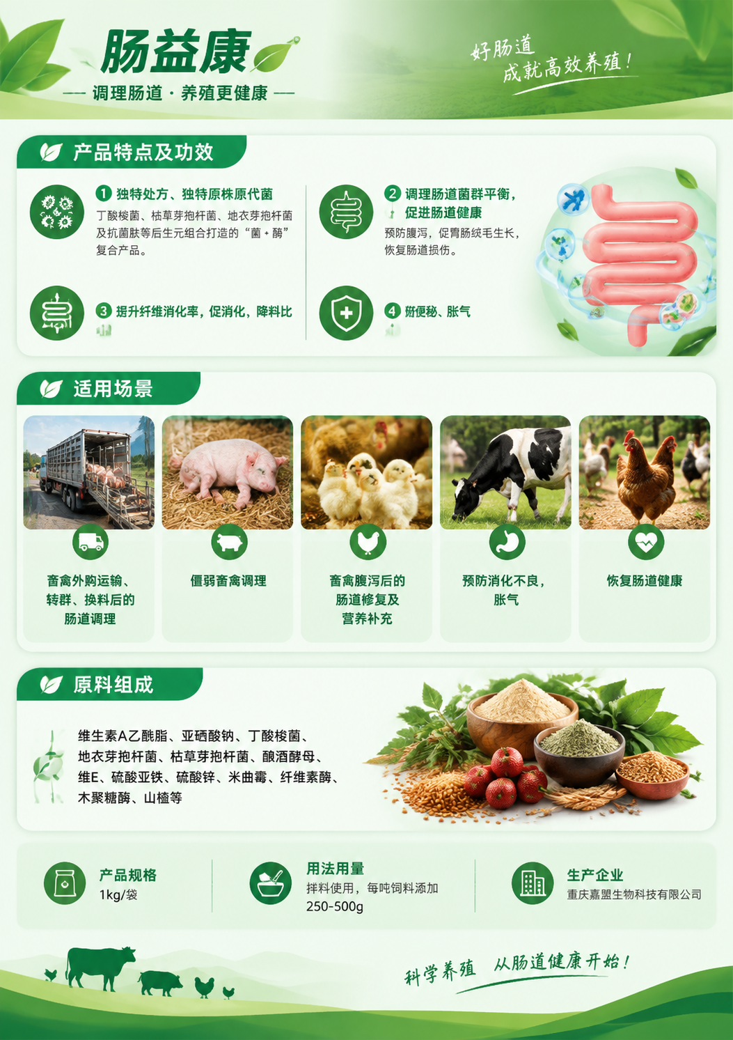 设计肠益康产品宣传折页第二页（A4竖版），与首页同绿色自然色调… - 图片创意预览