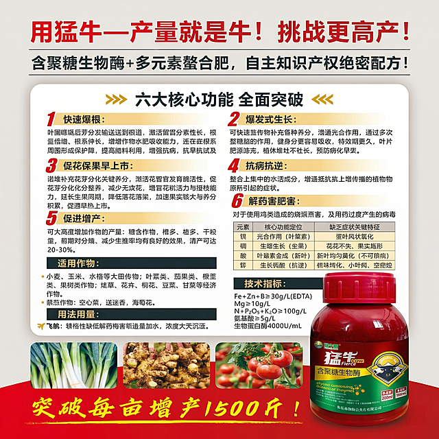 [主图 3] 产品功能参数详情主图
[氛围风格] 专业严谨，信息清晰
[画面元素] 商业摄影质感、光线柔和通透、产品清晰真实、画面干净高级。产品瓶子使用新上传图片（https://gdesign-dam-hz.dancf.com/36154742990809155/e3bc0b0f60244de58c350a839d965b2f.jpg）放置在画面右下角，占据约四分之一版面，左侧和上方排版产品核心六大功能与技术指标参数，保留原参考图所有文字信息："用猛牛—产量就是牛！挑战更高产！""含聚糖生物酶+多元元素螯合肥，自主知识产权绝密配方！"。下方展示三种适用作物示例图（大葱、生姜、番茄）。
[配色色系] 主色调：浅灰色+红色；辅助色：金色、深灰色。整体干净专业，文字对比清晰
[视角构图] 平视构图，信息分区展示，不拥挤
[文字版式] 顶部红色大标题，中部功能列表分两栏排版，标题加粗醒目，正文清晰易读，参数使用表格展示清晰整齐，底部红色通栏黄色大号字体突出核心卖点"突破每亩增产1500斤"。
[比例分辨率] 1:1 比例，2k 分辨率；文字清晰可辨，超高清
[负向提示词] 变形，水印，文字错乱，产品图模糊，背景杂乱，瓶子变形，表格错乱